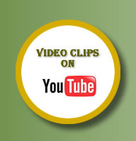 Vedio clips on You Tube